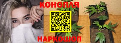 сатива Краснознаменск