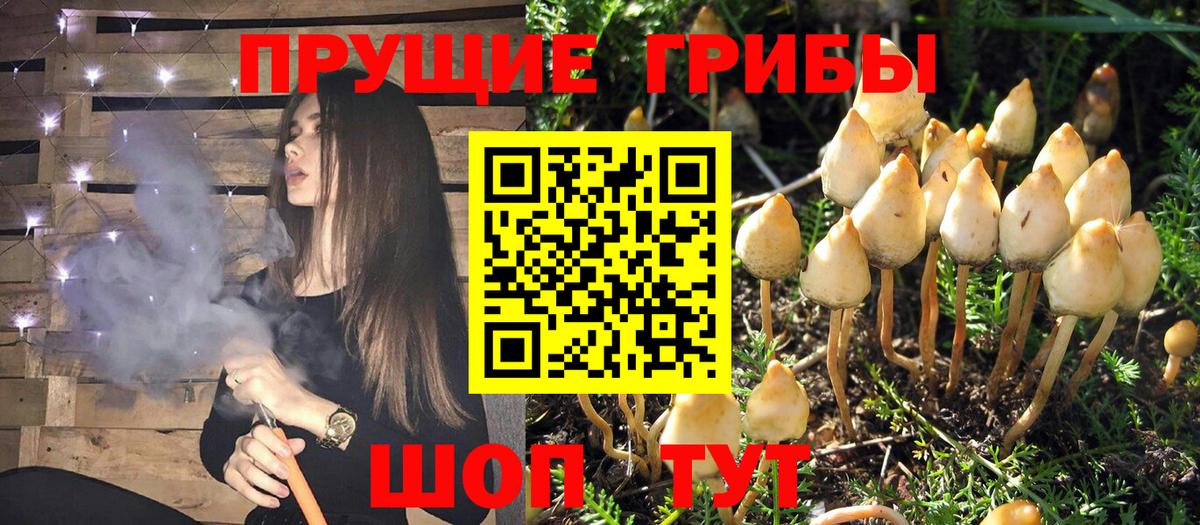 А ПВП СК   Лсд 25  Ишим  МЕФ   Вход с VPN  Бошки Шишки  ГАШИШ  Кокаин  МЕФ  Экстази 