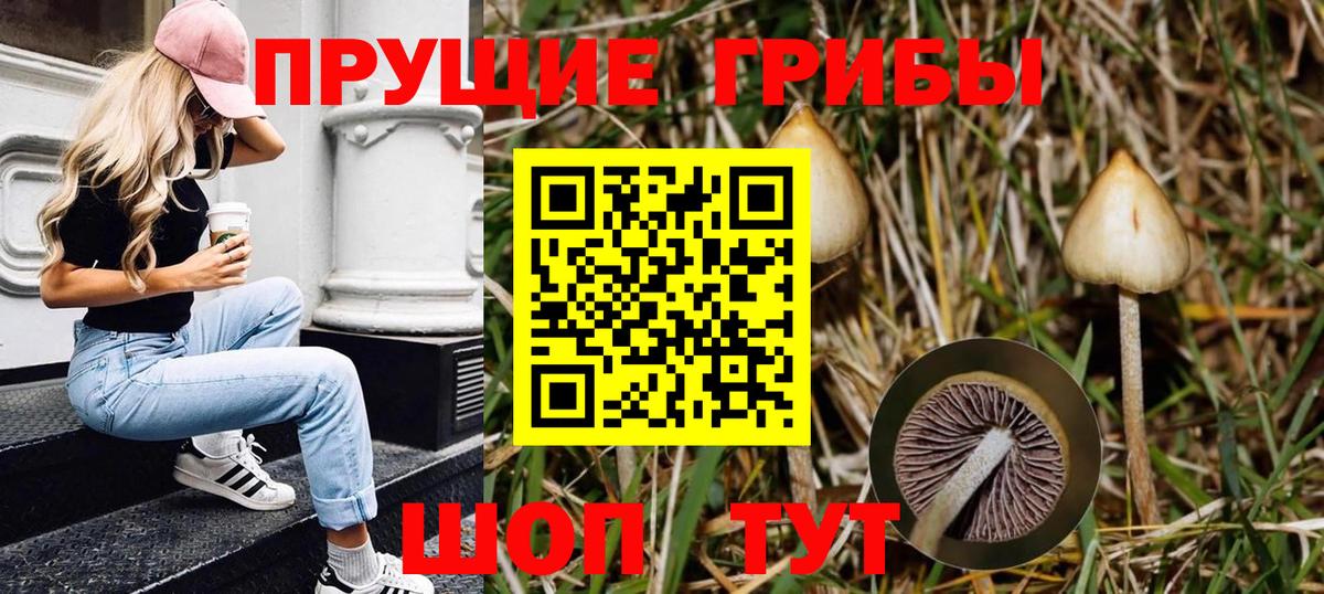 Псилоцибиновые грибы Psilocybe  Вход с VPN  Ишим 